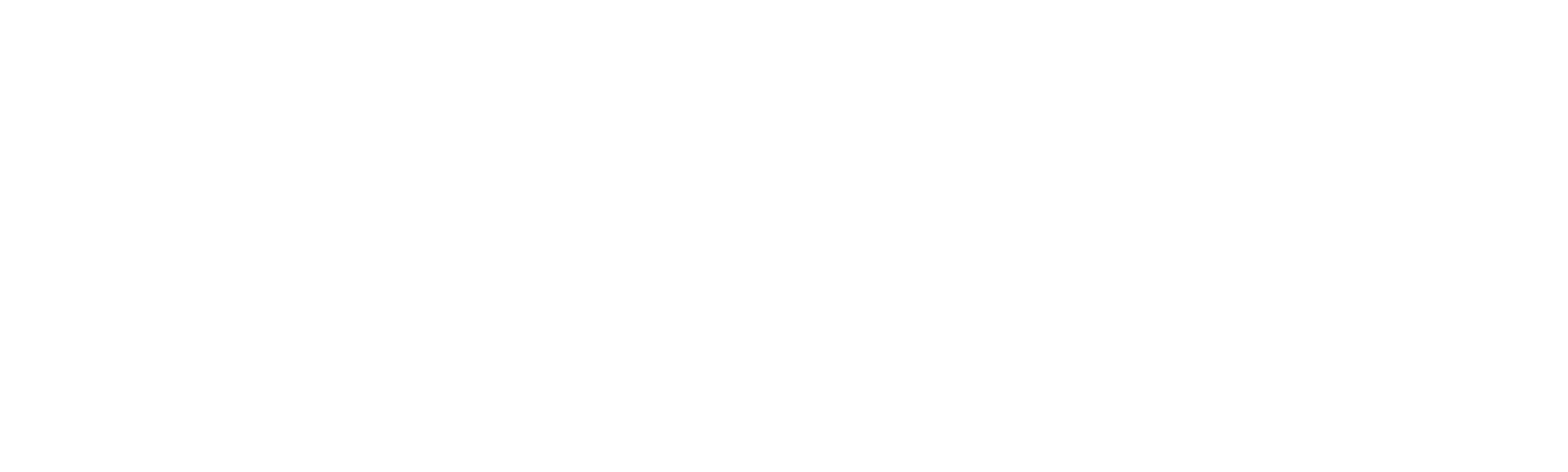лого партнера